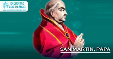 San Martín, Papa